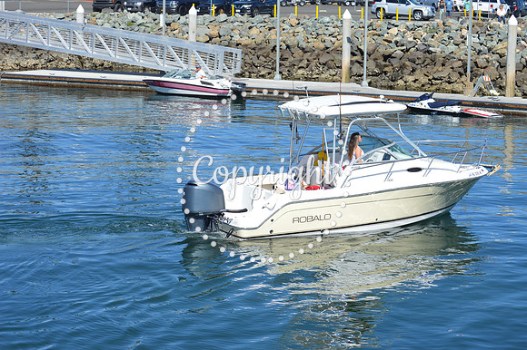 DSC_0064 (1)