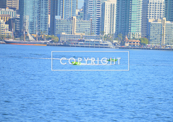 DSC_0096 (2)