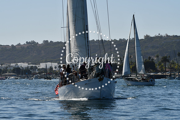 DSC_1986 (1)