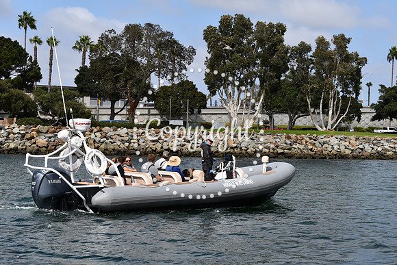 DSC_1235 (1)