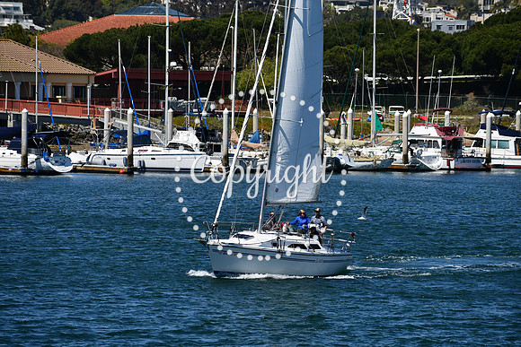 DSC_0752