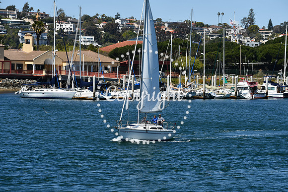 DSC_0753