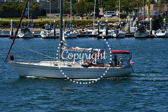 DSC_0774