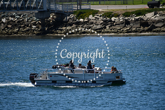 DSC_0808