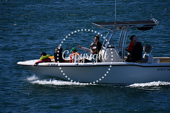DSC_0845