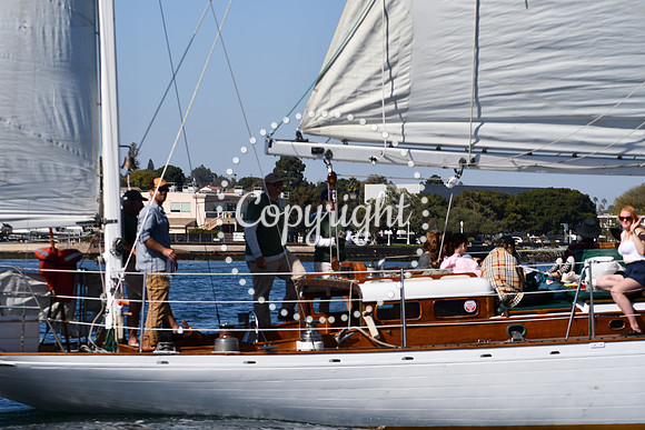 DSC_1997 (1)