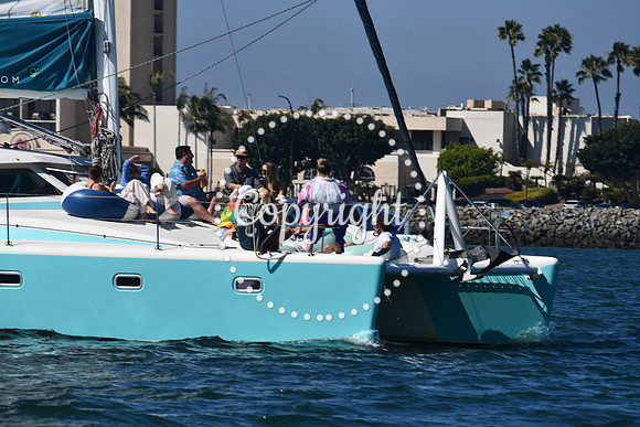 DSC_1329 (1)