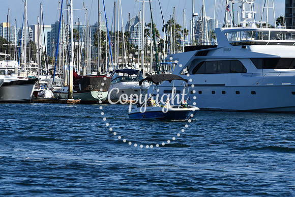 DSC_2334 (1)