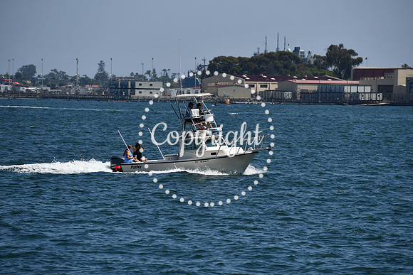 DSC_0499 (1)