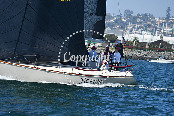 DSC_1396 (1)