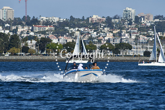 DSC_2300 (1)