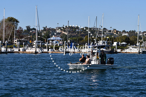 DSC_2020 (1)