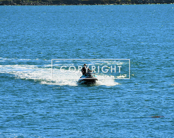 DSC_2967 (3)
