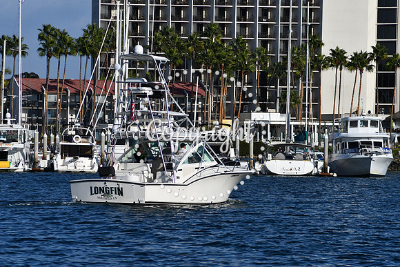 DSC_2365 (1)