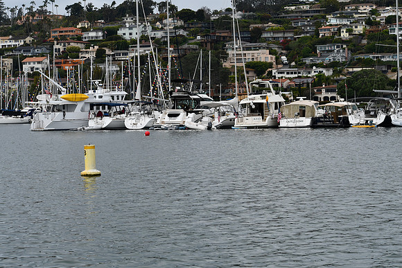 DSC_0732