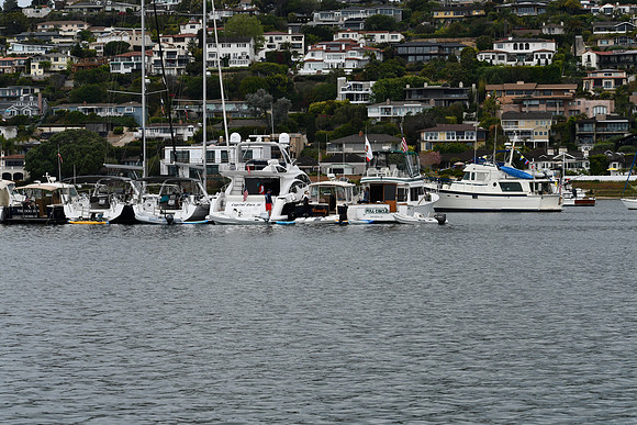 DSC_0731