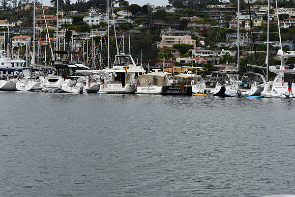DSC_0739