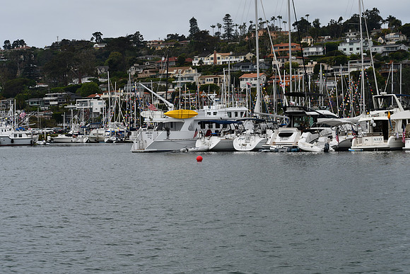 DSC_0740