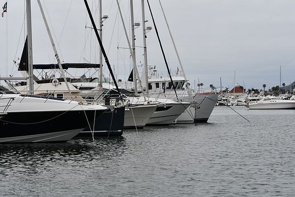 DSC_0757