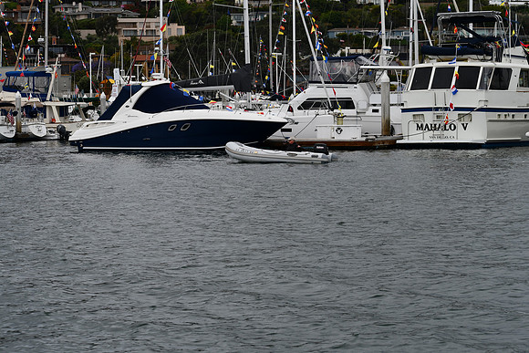 DSC_0767