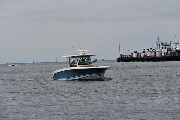 DSC_0781