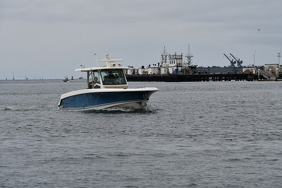 DSC_0784