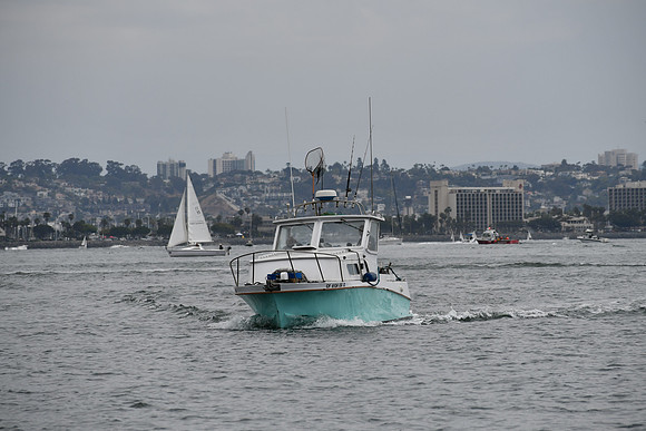 DSC_0793