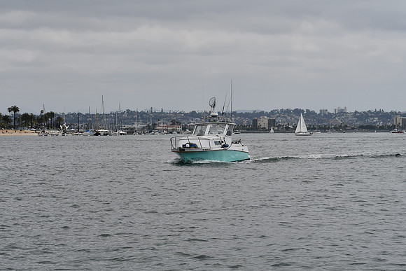 DSC_0794