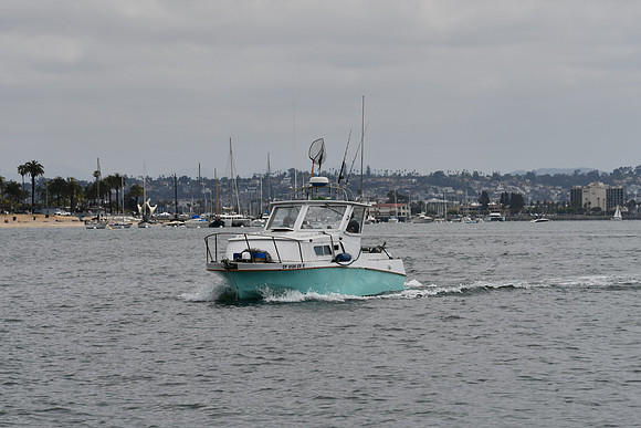 DSC_0795