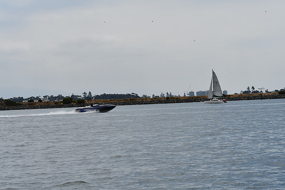 DSC_0797