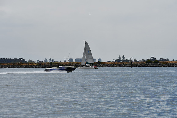 DSC_0798