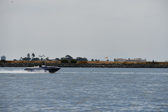 DSC_0799
