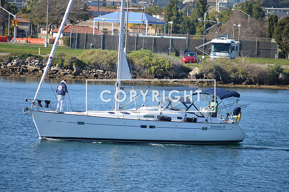 DSC_0065 (1)