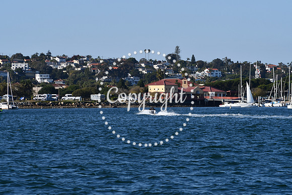 DSC_2321 (1)
