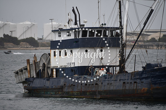DSC_0909