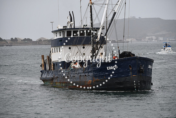 DSC_0980