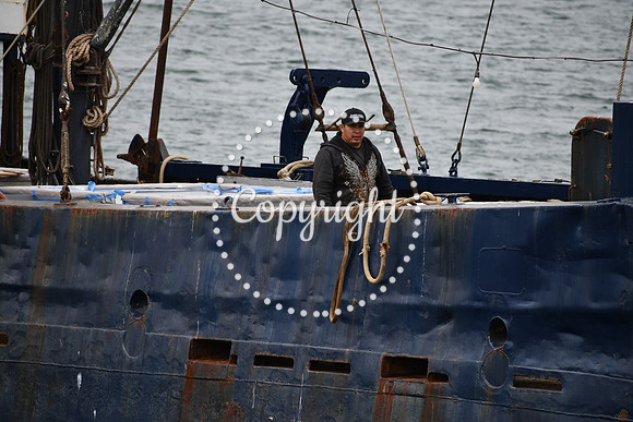 DSC_0986