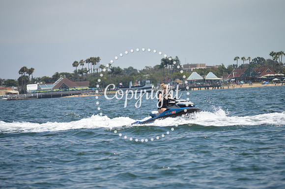 DSC_0167 - Copy