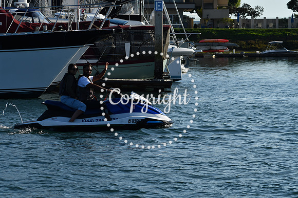 DSC_2352 (1)