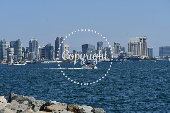 DSC_0517 (1)