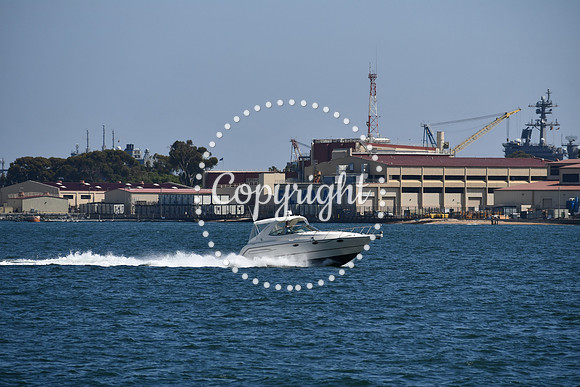 DSC_0585 (1)