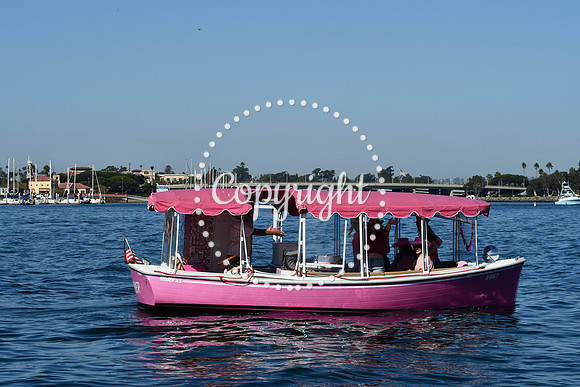 DSC_1961 (1)