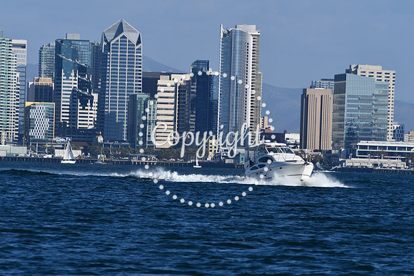 DSC_2281 (1)