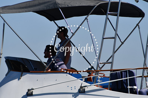 DSC_1945 (1)