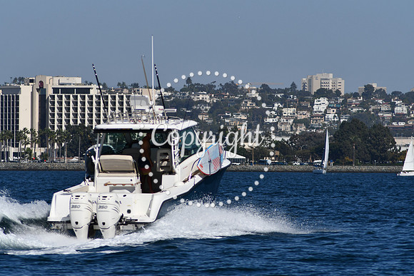 DSC_1884 (1)