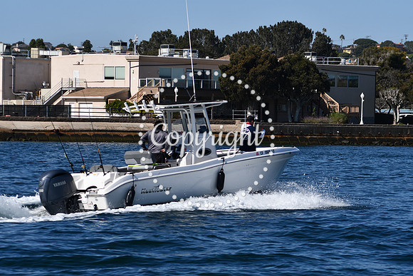 DSC_1953 (1)