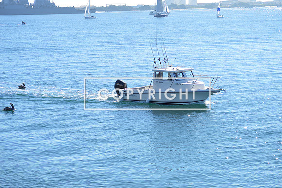DSC_0037 (1)