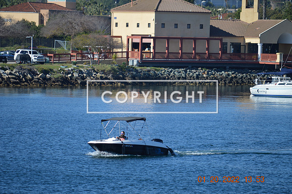DSC_0031 (1)