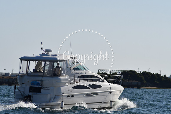 DSC_2295 (1)
