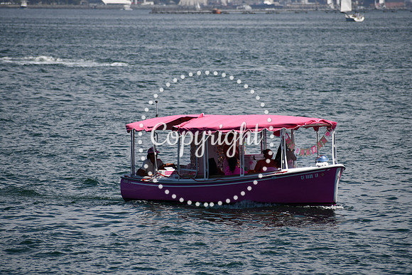 DSC_0441 (2)
